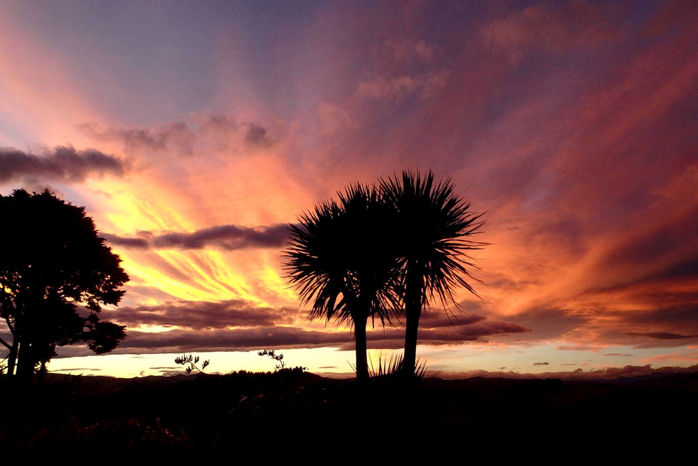 Luxurious Bed and Breakfast Accommodation with Fantastic Views in Cheviot, South Island