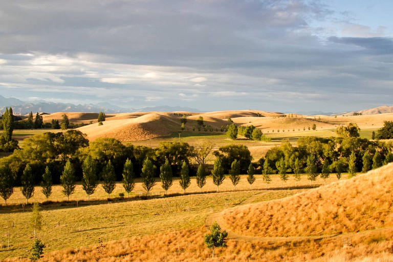 Nature Lodges (Cheviot, South Island, New Zealand)
