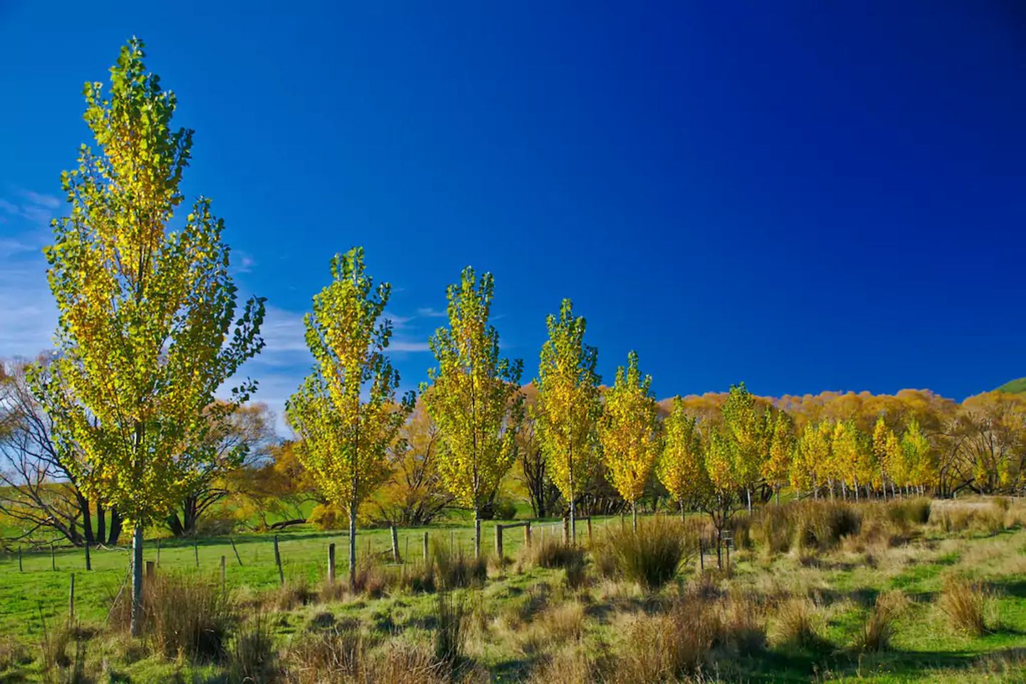 Luxurious Bed and Breakfast Accommodation with Fantastic Views in Cheviot, South Island