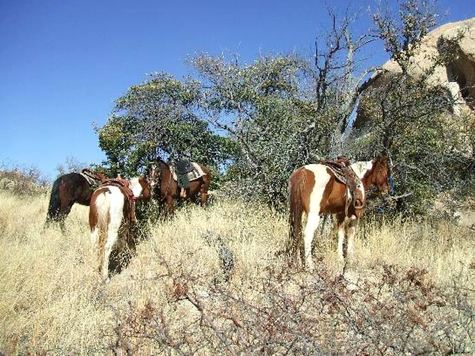 Nature Lodges (Dragoon, Arizona, United States)