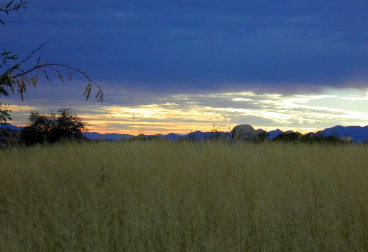 Nature Lodges (Dragoon, Arizona, United States)