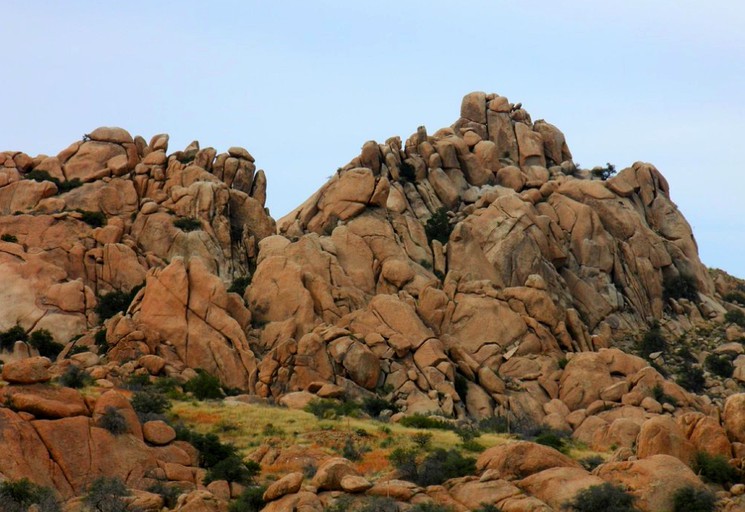 Nature Lodges (Dragoon, Arizona, United States)