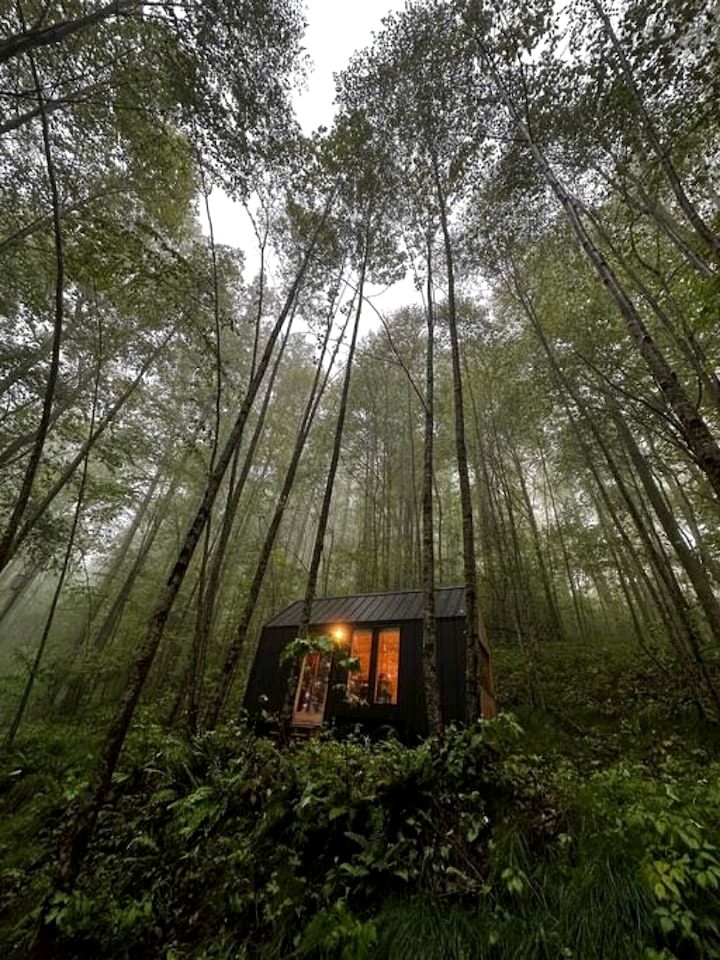Cute Secluded Tiny House with Great Forest Vistas in Sylva, North Carolina