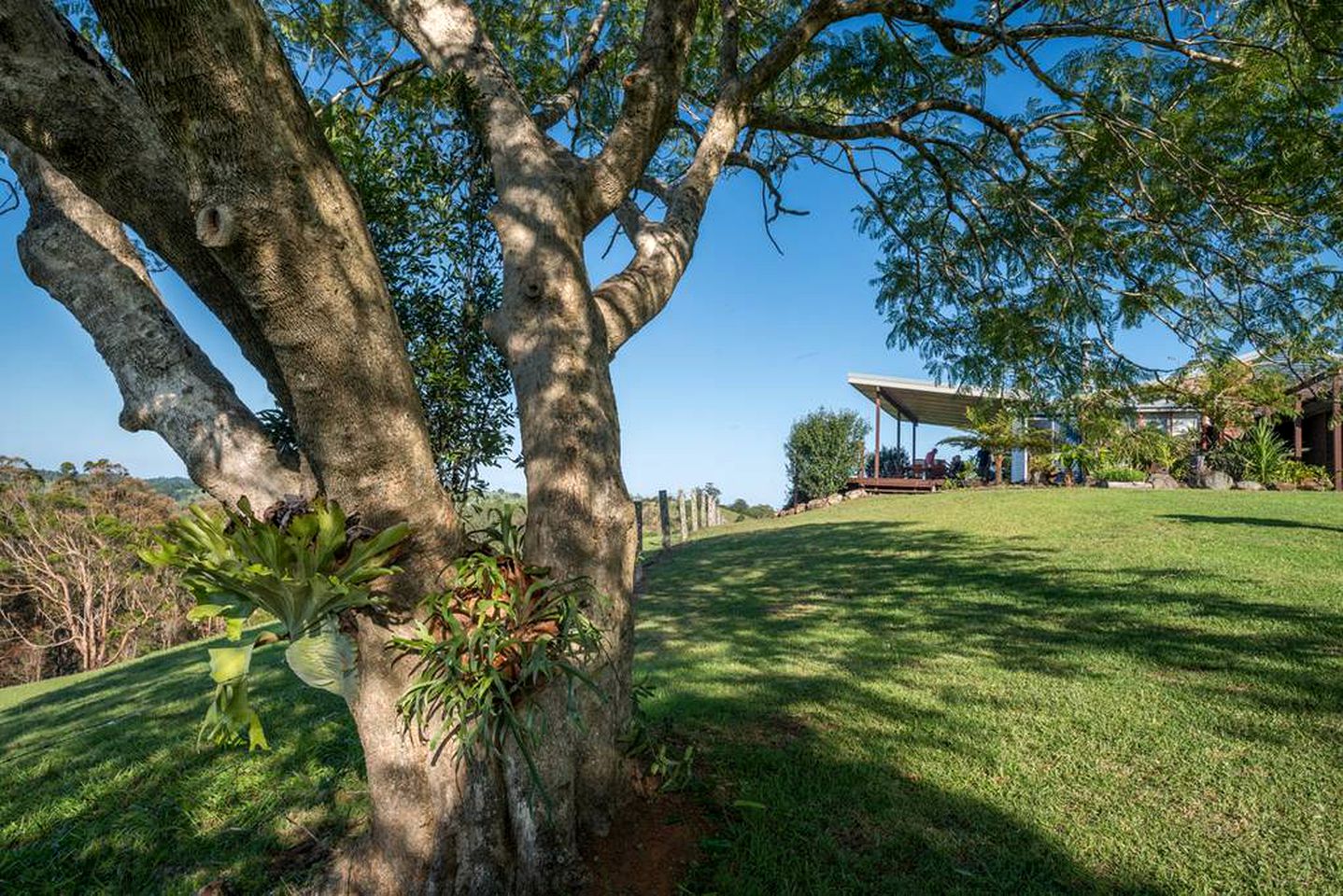 Unique Holiday Cabin on a Stunning Farm in the Sunshine Coast Hinterland of Queensland