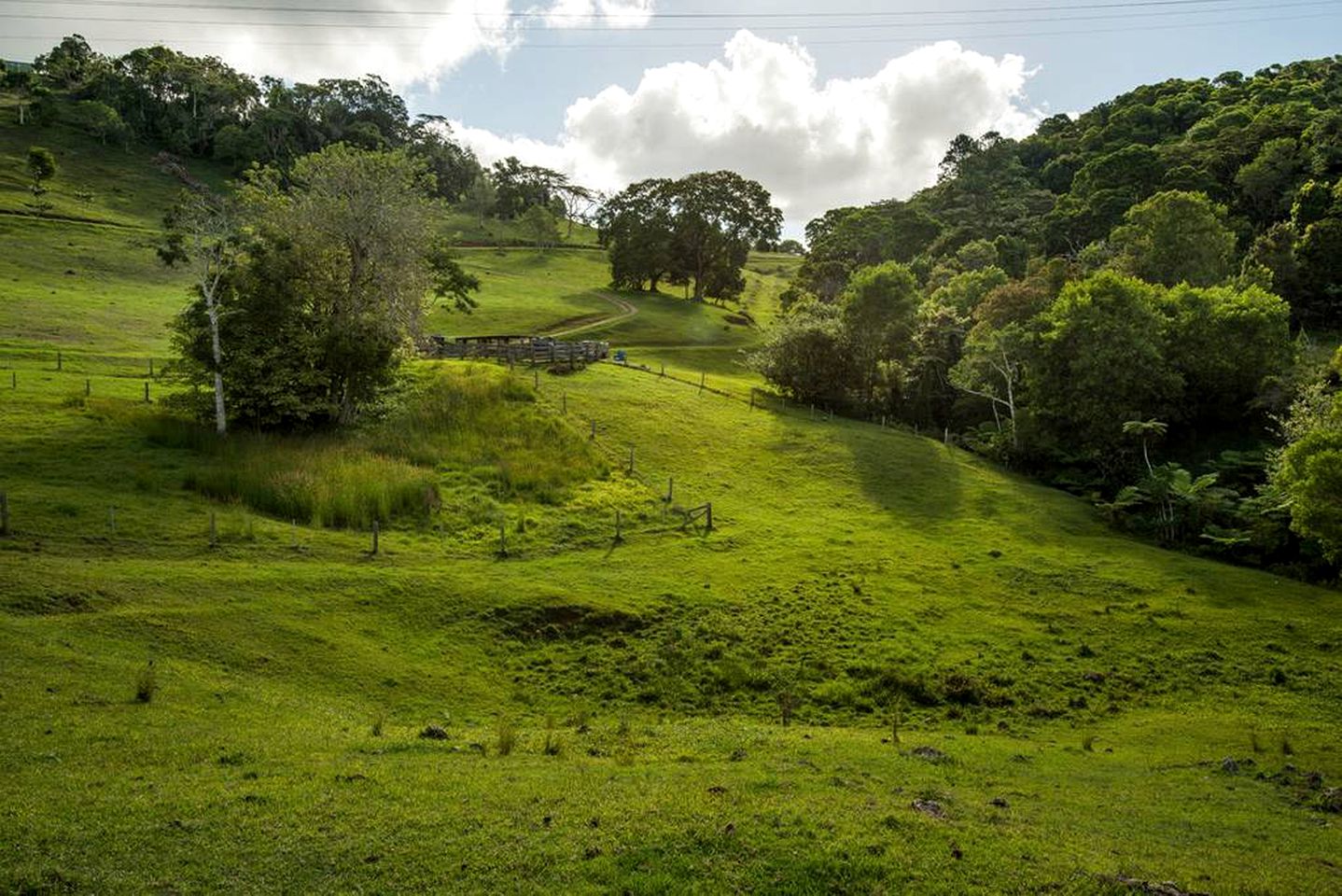 Unique Holiday Cabin on a Stunning Farm in the Sunshine Coast Hinterland of Queensland
