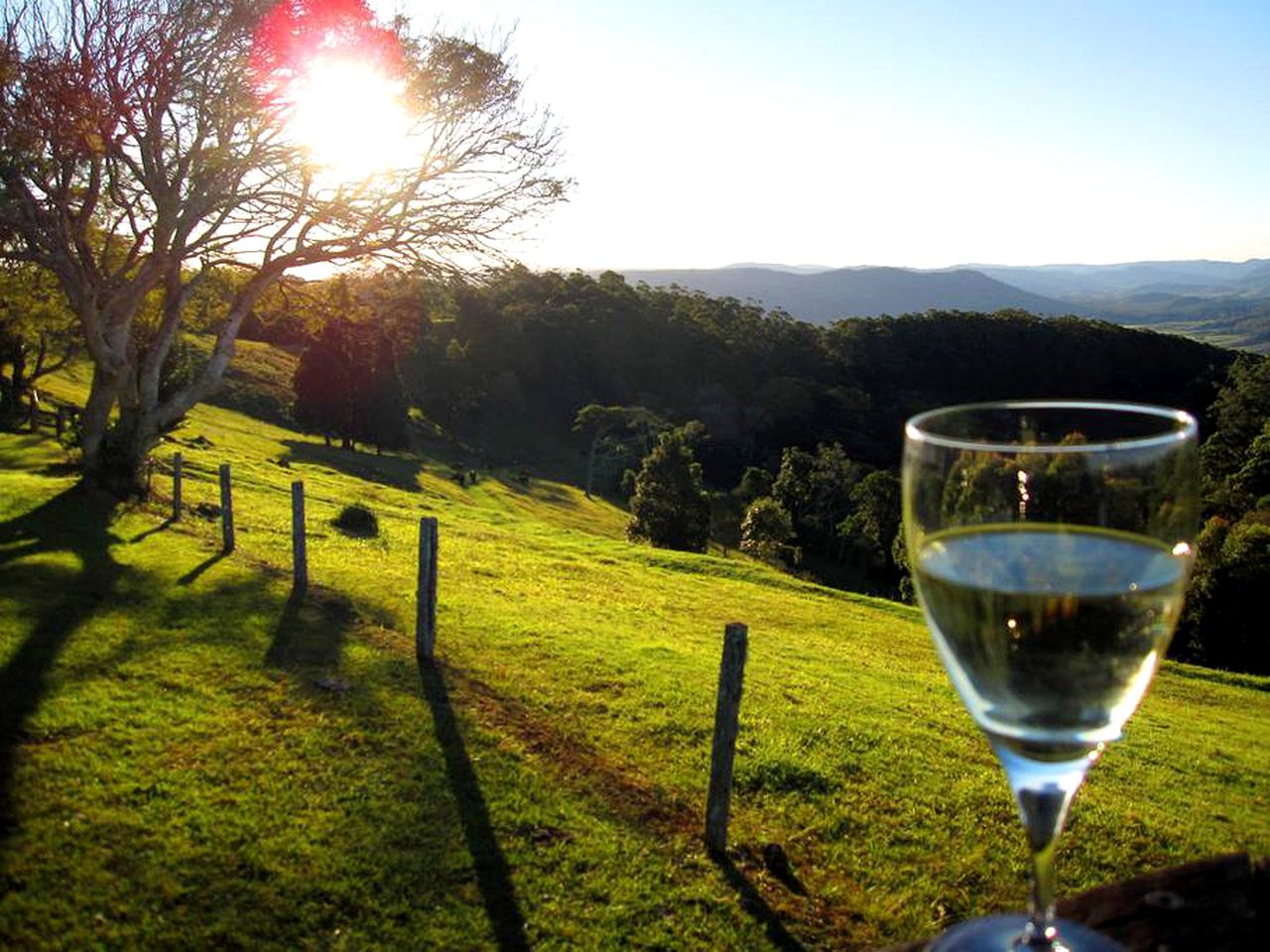 Unique Holiday Cabin on a Stunning Farm in the Sunshine Coast Hinterland of Queensland