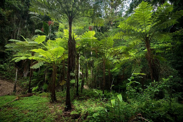 Cabins (Booroobin, Queensland, Australia)
