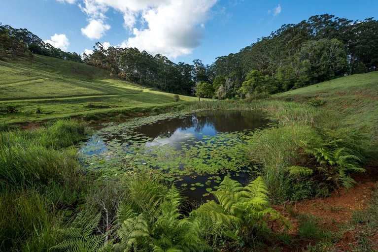 Cabins (Booroobin, Queensland, Australia)
