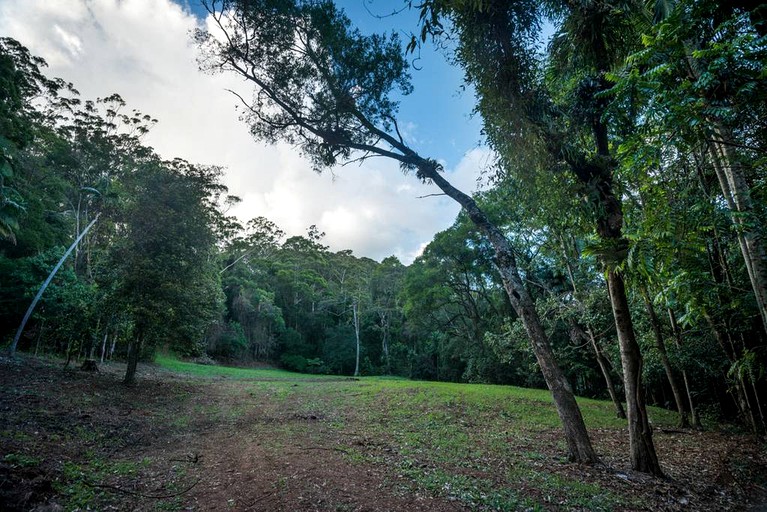 Cabins (Booroobin, Queensland, Australia)