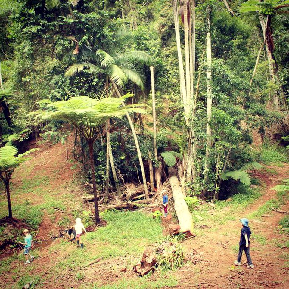 Unique Holiday Cabin on a Stunning Farm in the Sunshine Coast Hinterland of Queensland