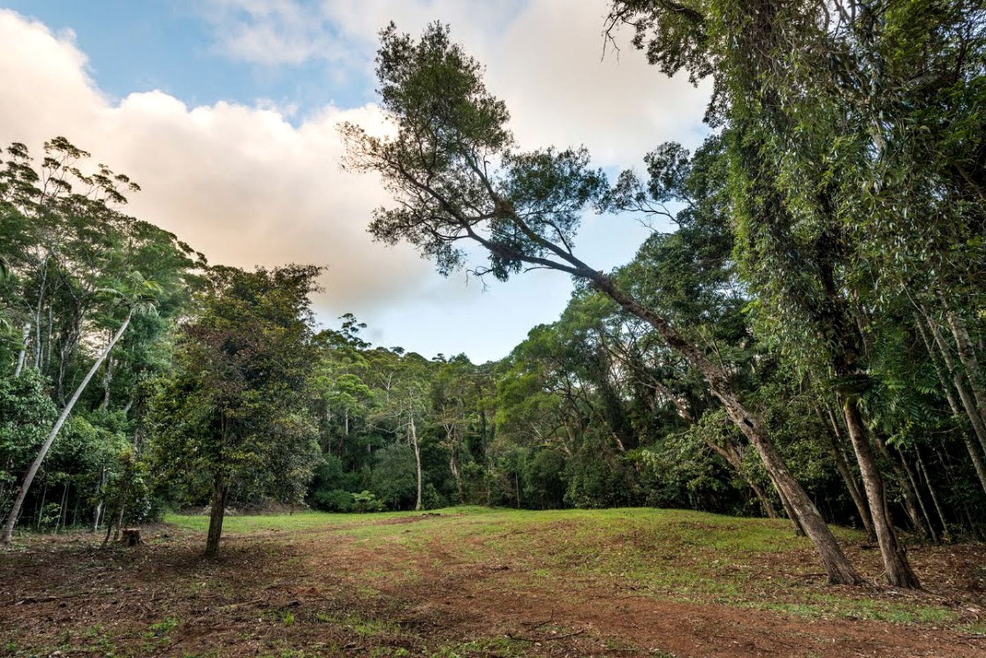 Unique Holiday Cabin on a Stunning Farm in the Sunshine Coast Hinterland of Queensland