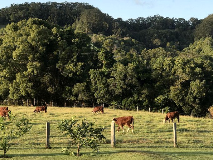 Cottages (The Pocket, New South Wales, Australia)