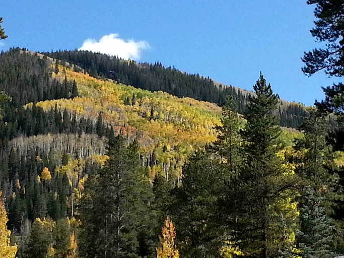 Cabins (Vail, Colorado, United States)