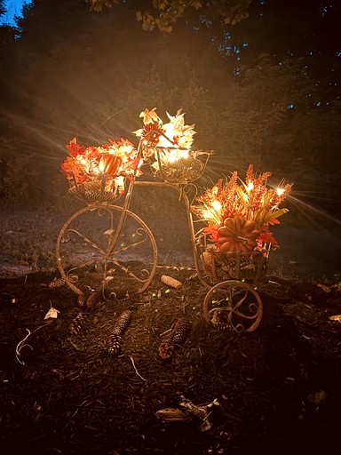 Vacation Rentals (United States of America, --, --)