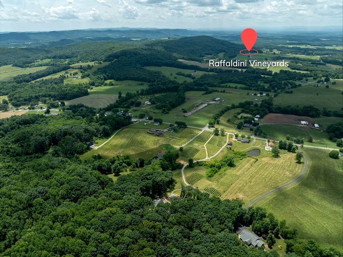 Pods (United States of America, Jonesville, North Carolina)