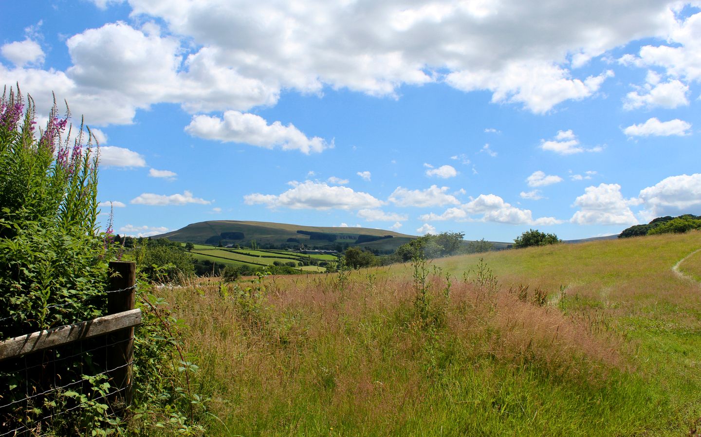 Charming Barn Conversion with Rustic Charm near Pen y Fan in Brecon Beacons, Wales
