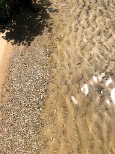 Vacation Rentals (United States of America, Traverse City, Michigan)