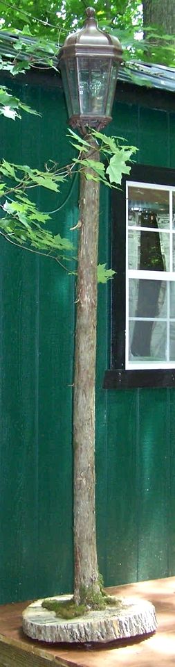 Secluded Watertree Tiny House near Old Hickory Lake – Private Deck, Trails & Breakfast