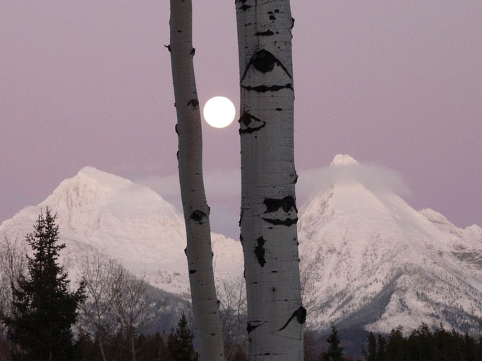 Nature Lodges (Polebridge, Montana, United States)