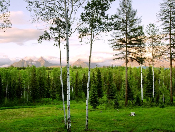 Nature Lodges (Polebridge, Montana, United States)