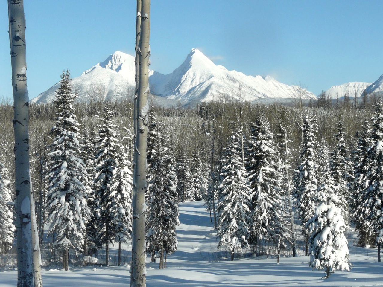 Eco-Friendly Room Rental Perfect for Couples in Polebridge, Montana