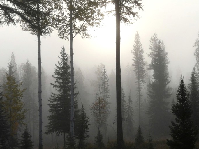 Nature Lodges (Polebridge, Montana, United States)