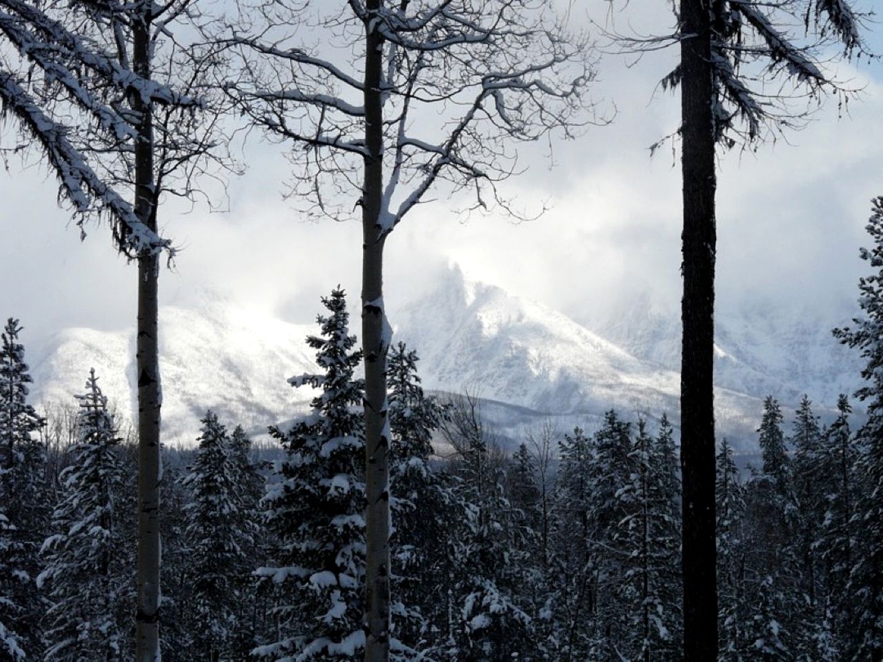 Secluded Vacation Rental with Mountain Views near Glacier National Park, Montana