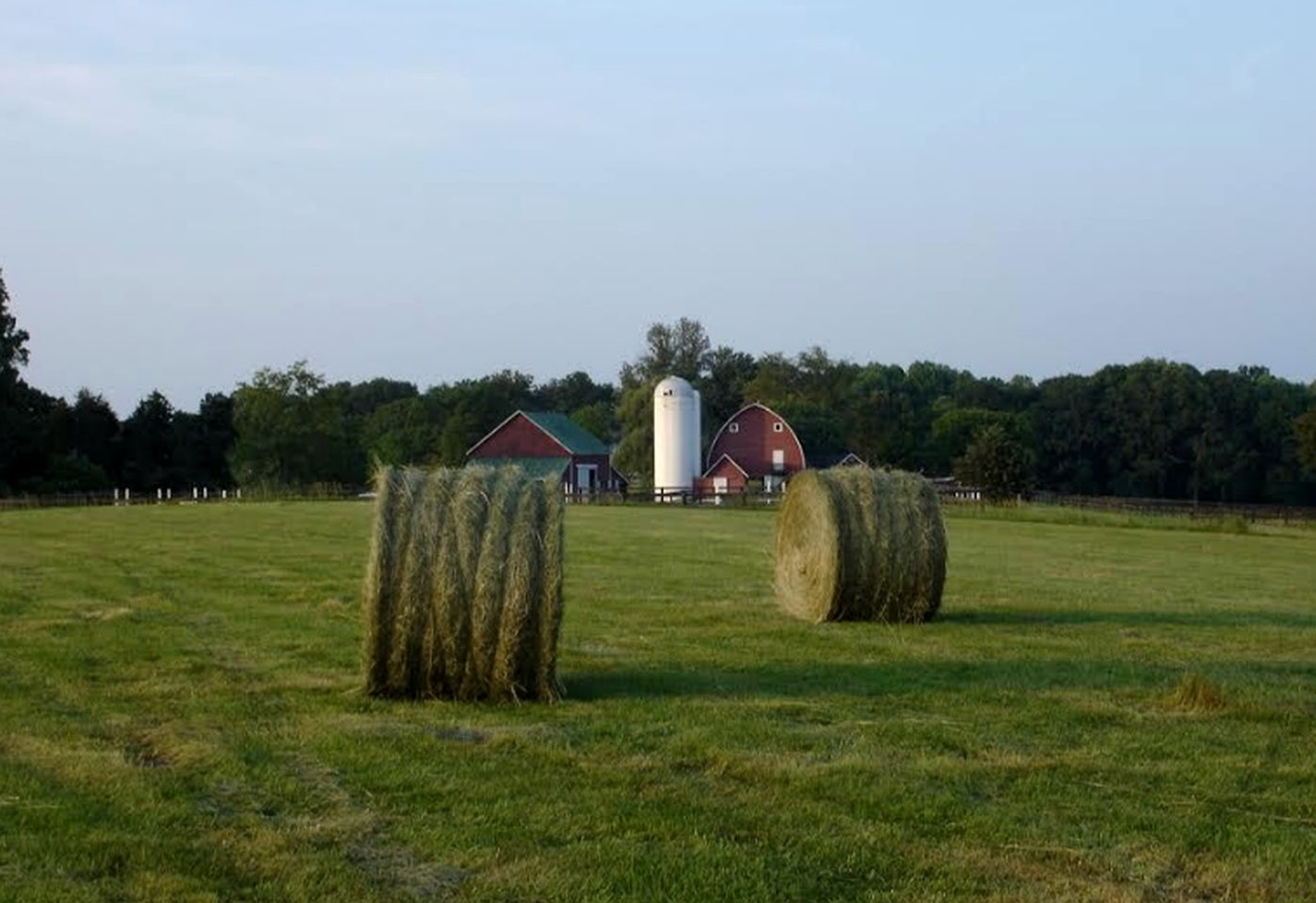 Classic Cottage Rental on Huge Horse and Cattle Farm near Charlottesville