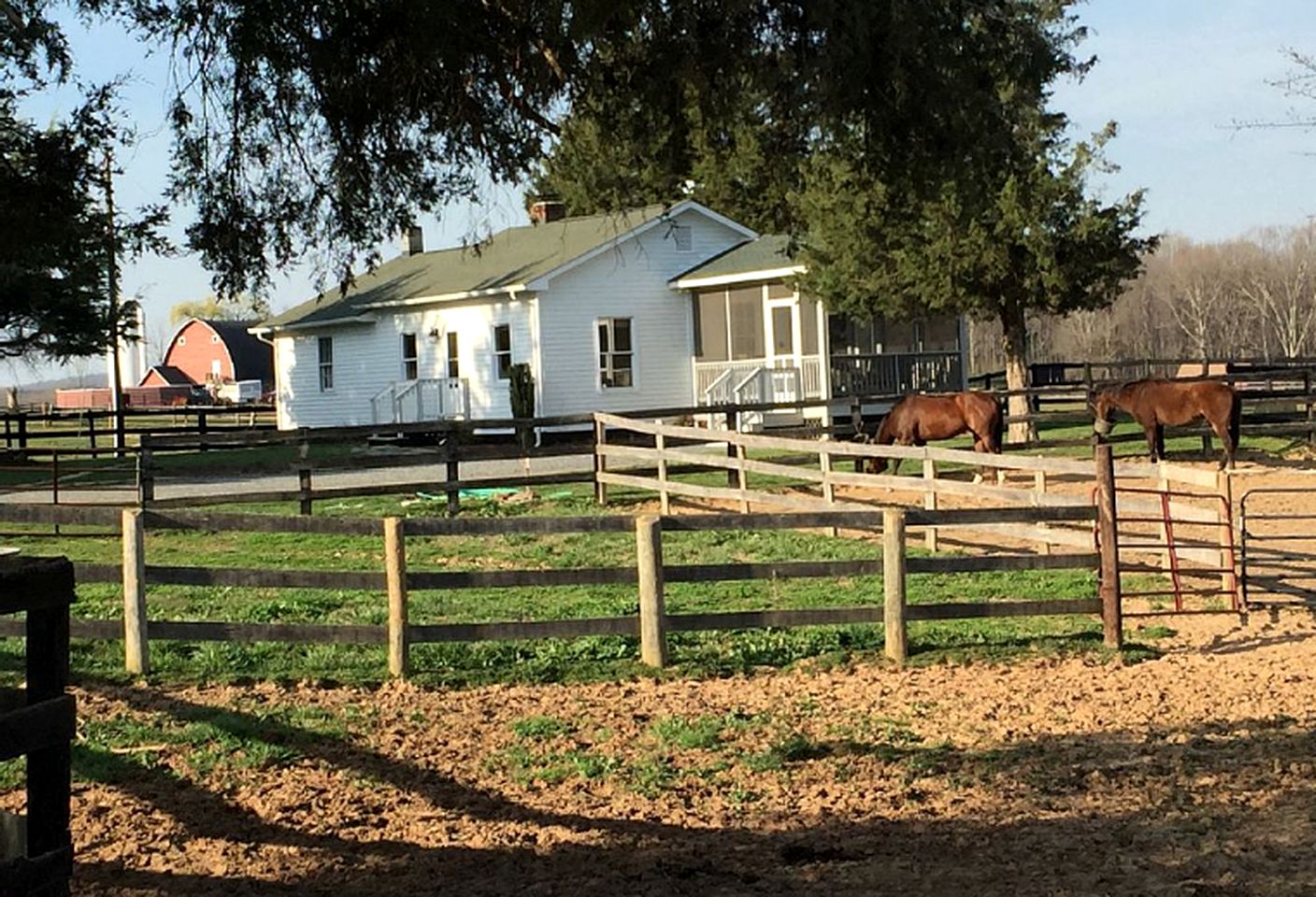 Classic Cottage Rental on Huge Horse and Cattle Farm near Charlottesville