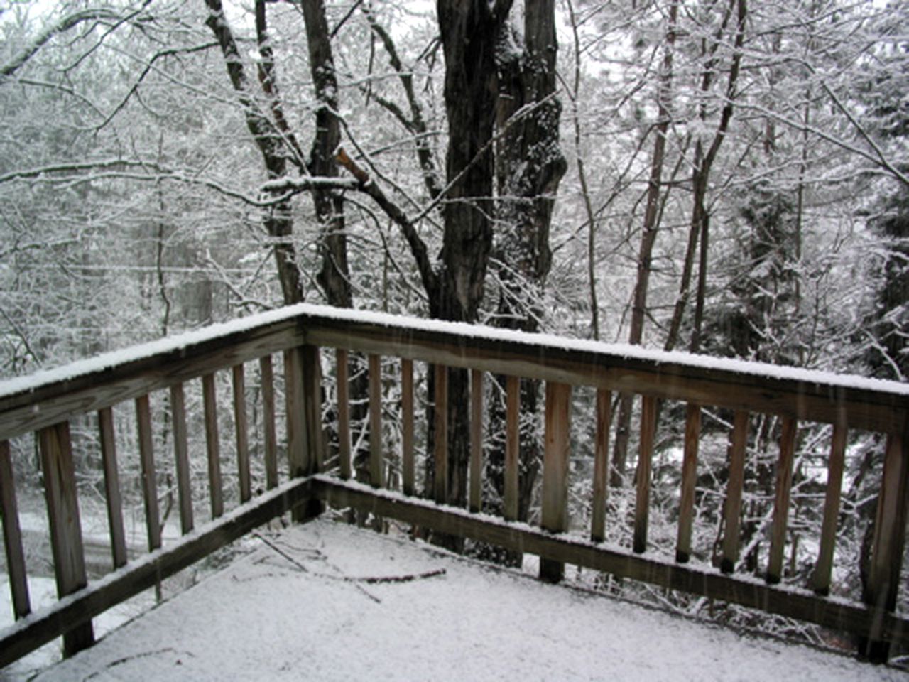 Dog-Friendly Getaway at a Nature Lodge in the Mountains near Northfield, Vermont