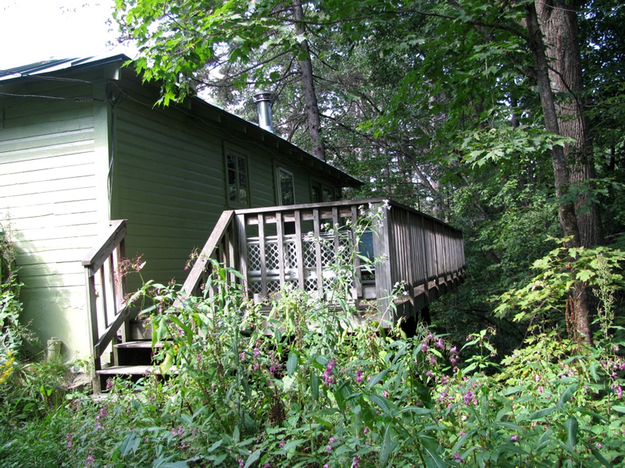 Dog-Friendly Getaway at a Nature Lodge in the Mountains near Northfield, Vermont