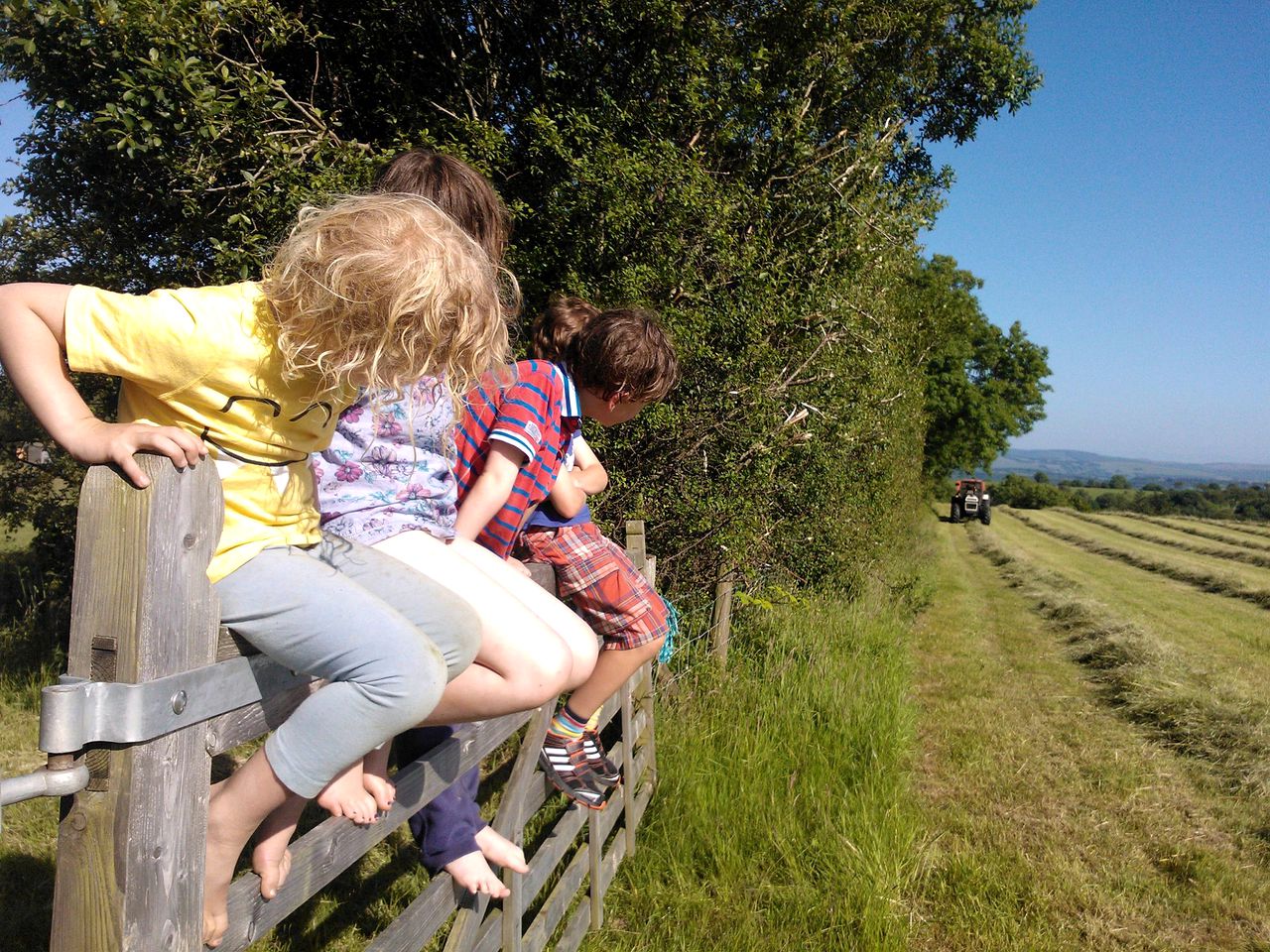 Unique Train Carriage Glamping Holiday on an Organic Farm in West Wales