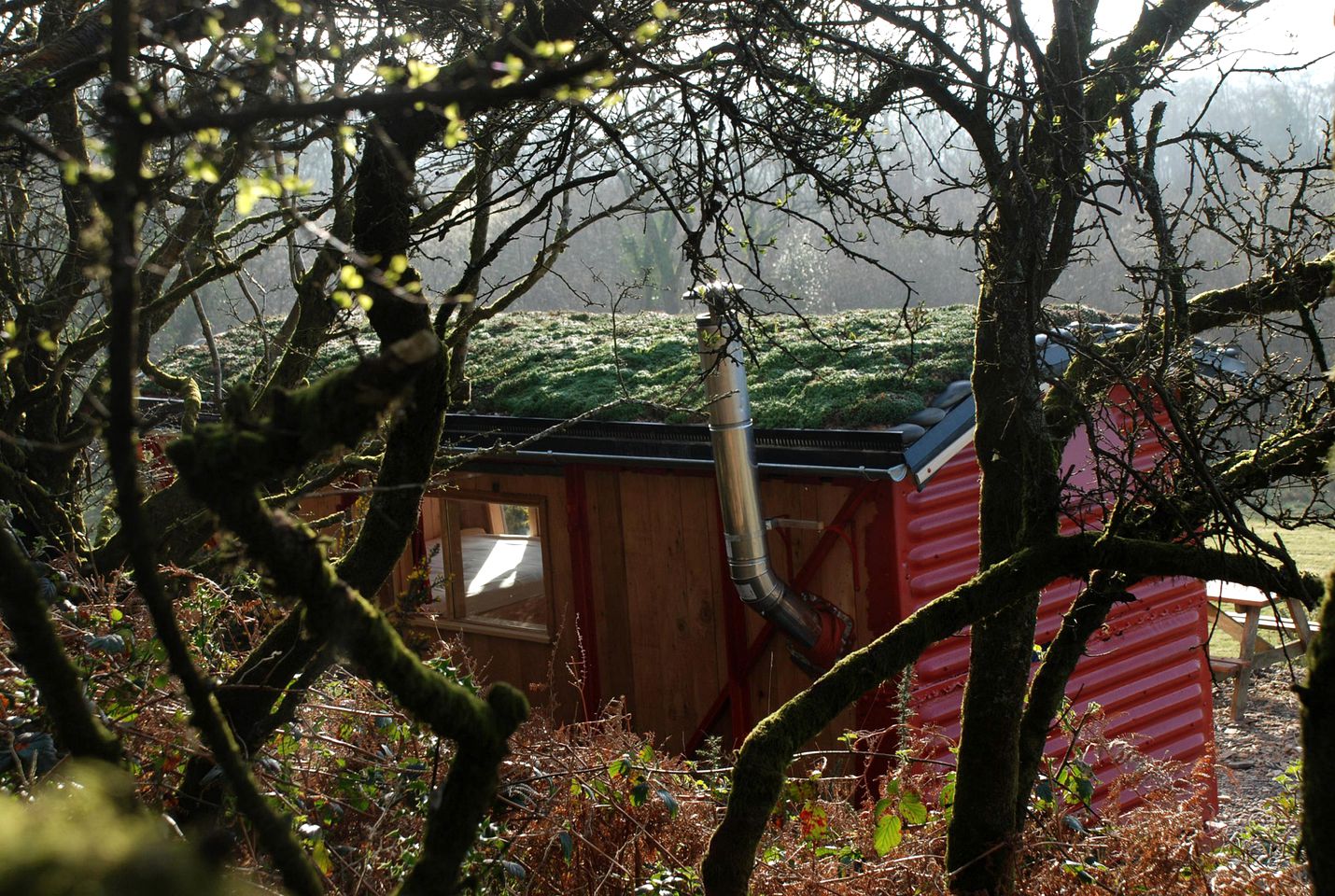 Unique Train Carriage Glamping Holiday on an Organic Farm in West Wales