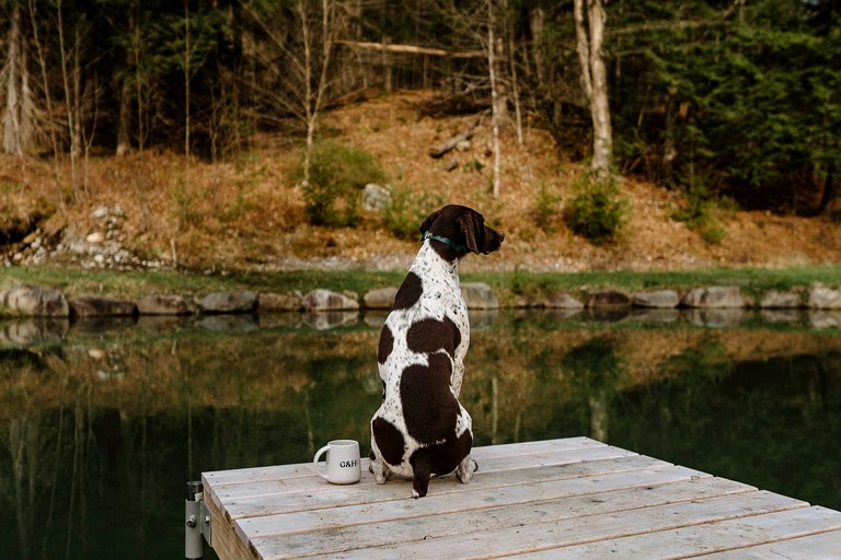 Tiny Houses (United States of America, Chester, Vermont)