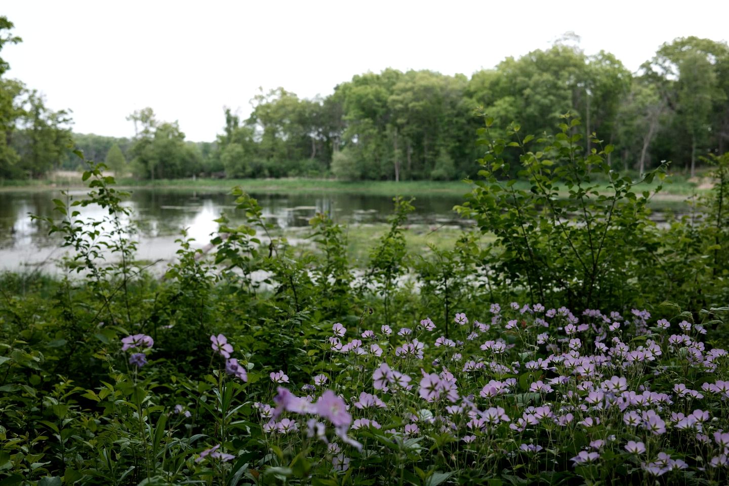 Three Quaint Glamping Tents Surrounded by Nature for a Wonderful Group Getway in Troy, Wisconsin