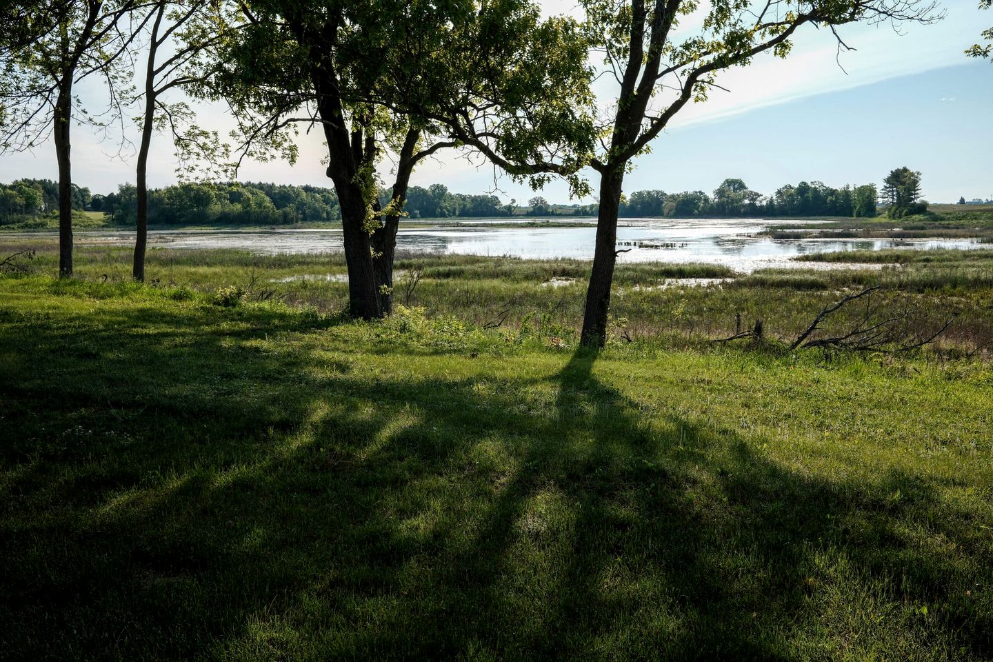 Three Quaint Glamping Tents Surrounded by Nature for a Wonderful Group Getway in Troy, Wisconsin