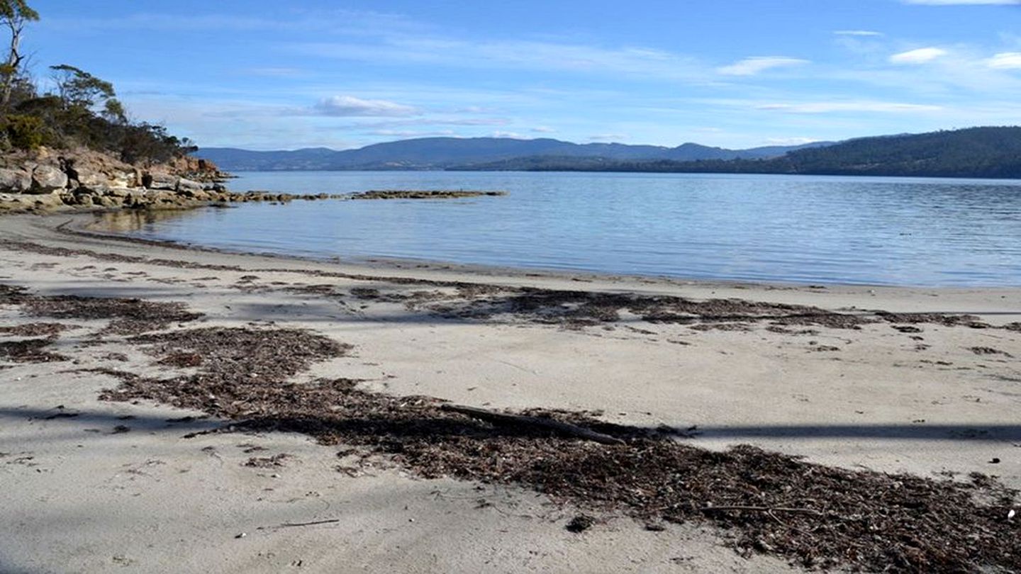 Secluded Cabin Rental with Breathtaking Views on North Bruny Island, Tasmania