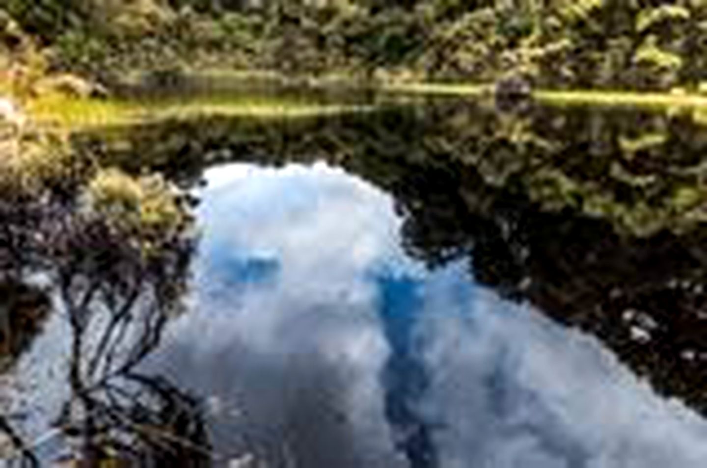 Fully-Furnished Holiday Room near Catlins Forest Park, South Island, New Zealand