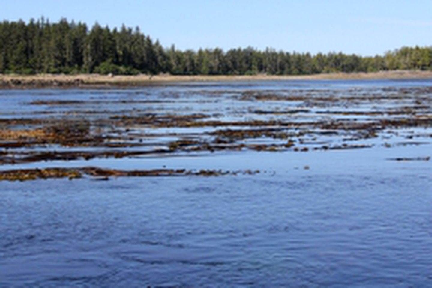 Comfortable Suite Rental with Shared Hot Tub and Sauna in Kitimat, British Columbia