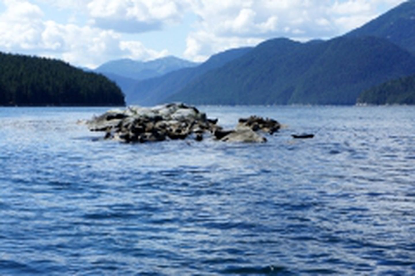 Stylish Bed and Breakfast Suite Rental with Superb Facilities in Kitimat, British Columbia