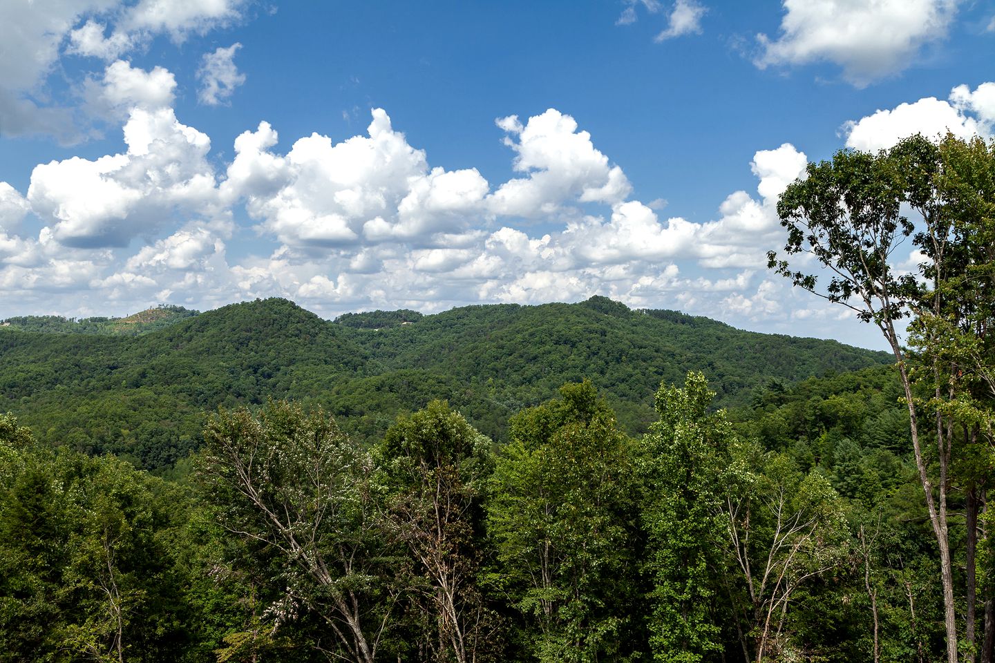 Sevierville Splendor: Luxurious Cabin Getaway Offering Breathtaking Views and Unparalleled Amenities
