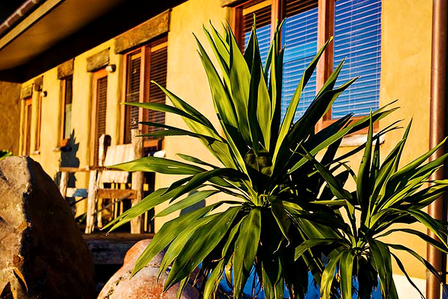 Tropical Suite with Gorgeous Sunset Views on New Zealand's West Coast