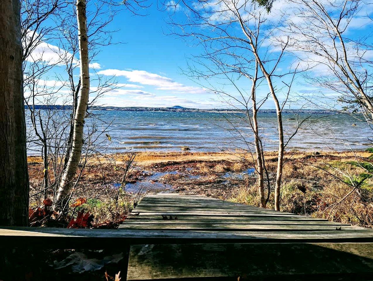 Serene Waterfront Beach House with Private Shoreline & Fire Pit Near Acadia National Park | Trenton, Maine