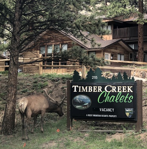 Vacation Rentals (United States of America, Estes Park, Colorado)