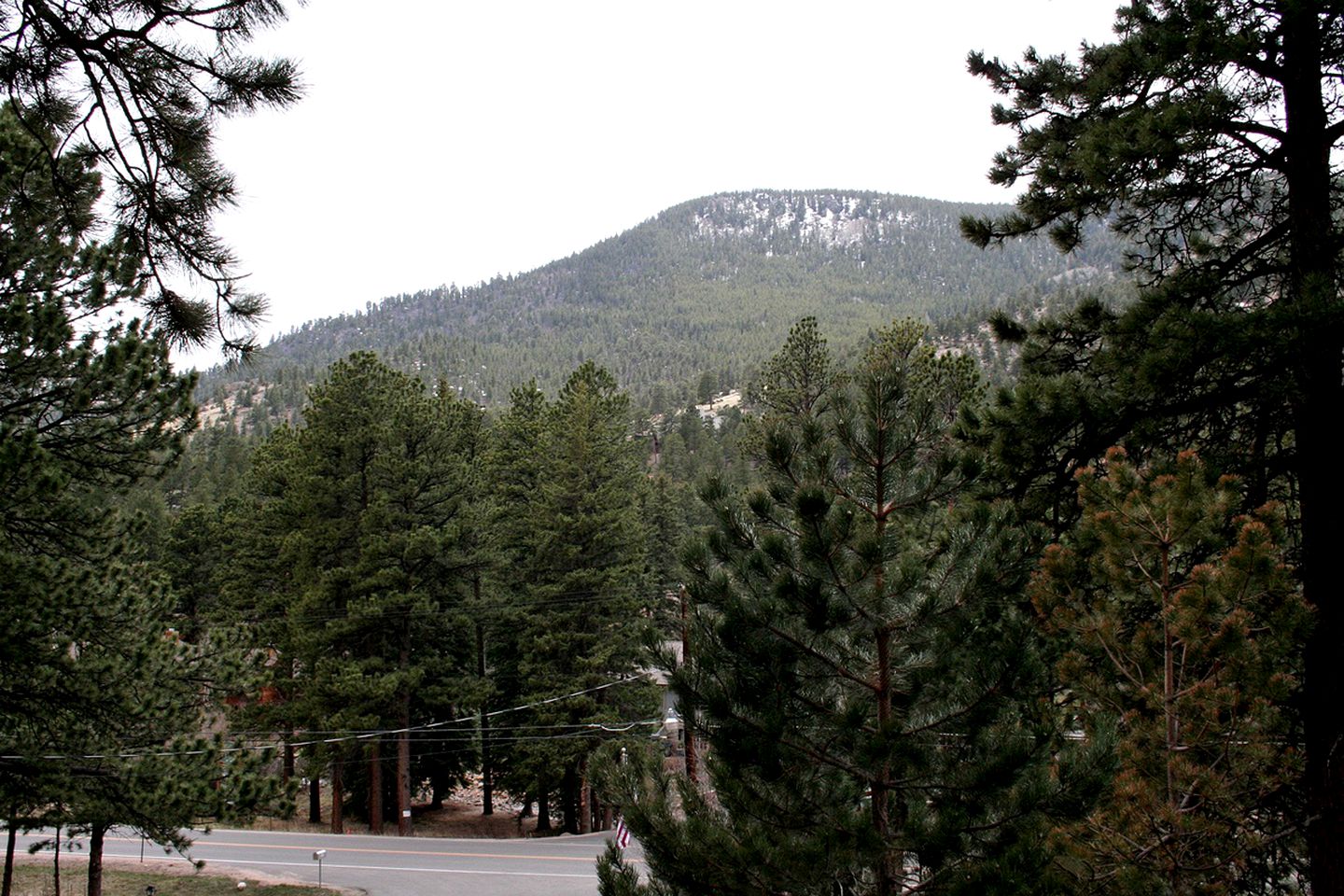 Pet-Friendly Cozy Cabin Escape in the Rocky Mountains National Park, Colorado