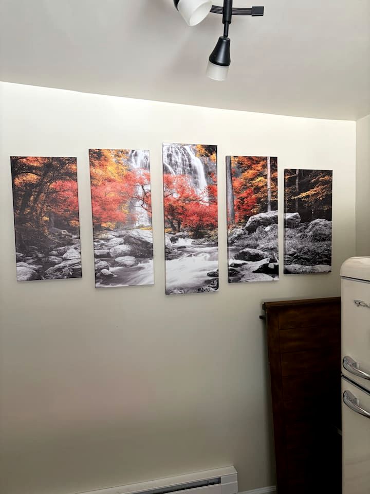 Peaceful Mountain Cabins with Modern Amenities near Garden of the Gods, Colorado Springs CO