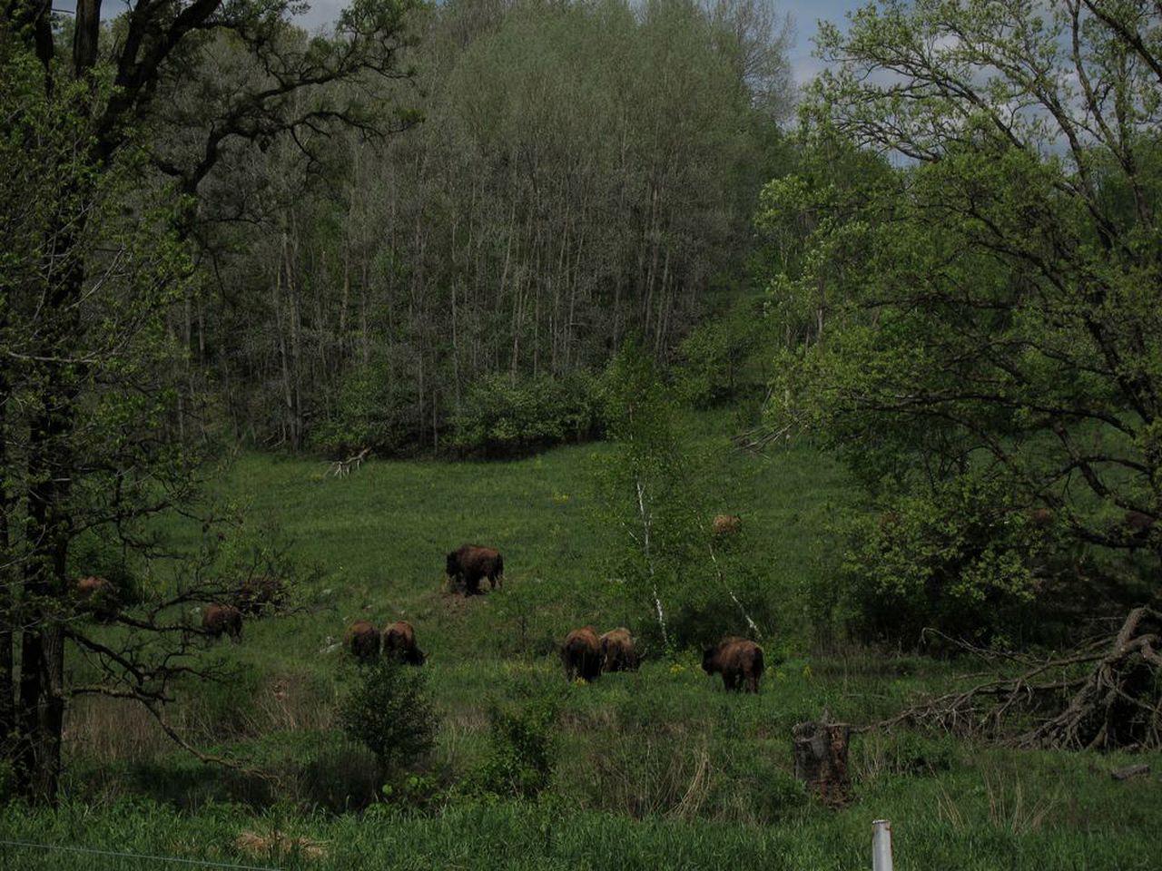 Cozy Cabin Rental with Gorgeous Farmland Views near Barronett, Wisconsin