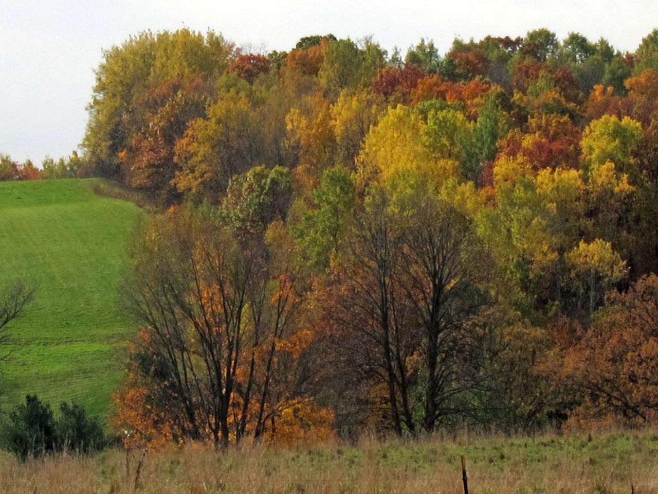 Cozy Cabin Rental with Gorgeous Farmland Views near Barronett, Wisconsin