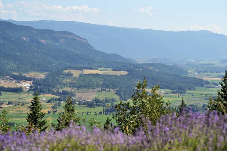 Cabins (Salmon Arm, British Columbia, Canada)