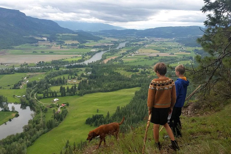 Cabins (Salmon Arm, British Columbia, Canada)